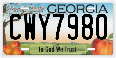 GA license plate CWY7980