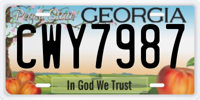 GA license plate CWY7987