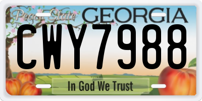 GA license plate CWY7988