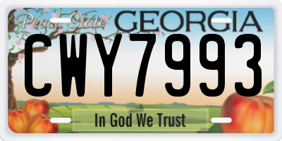 GA license plate CWY7993