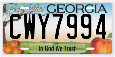 GA license plate CWY7994