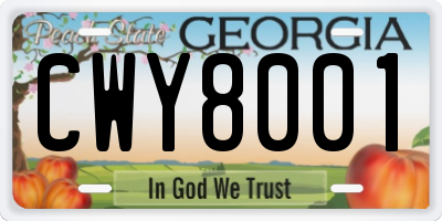 GA license plate CWY8001
