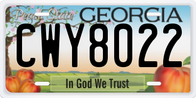 GA license plate CWY8022