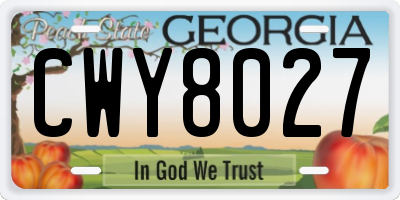 GA license plate CWY8027