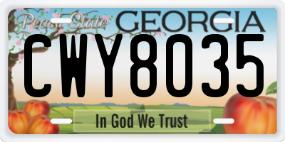 GA license plate CWY8035