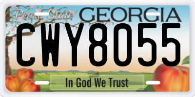 GA license plate CWY8055