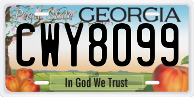 GA license plate CWY8099