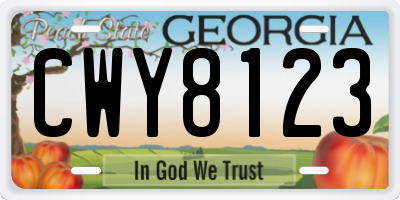 GA license plate CWY8123