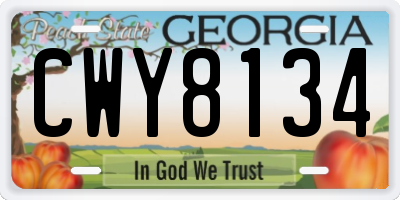 GA license plate CWY8134