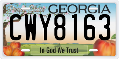 GA license plate CWY8163