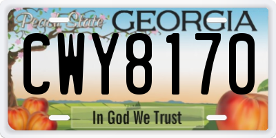GA license plate CWY8170