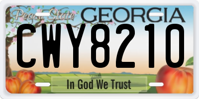 GA license plate CWY8210