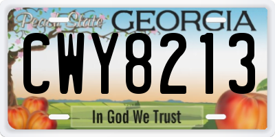 GA license plate CWY8213