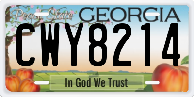 GA license plate CWY8214