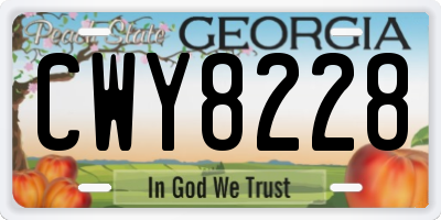 GA license plate CWY8228