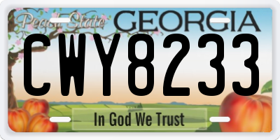 GA license plate CWY8233