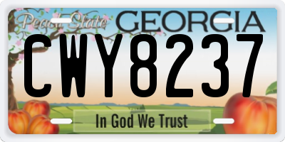 GA license plate CWY8237