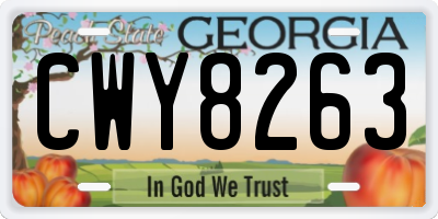 GA license plate CWY8263