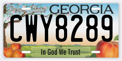 GA license plate CWY8289
