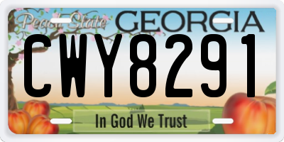 GA license plate CWY8291