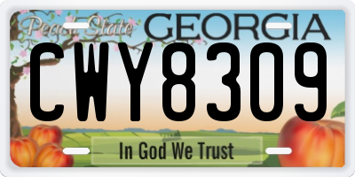 GA license plate CWY8309