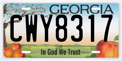 GA license plate CWY8317