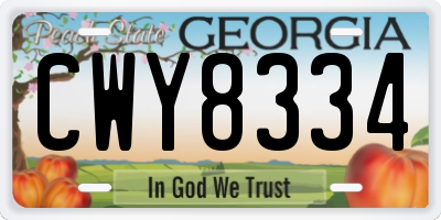 GA license plate CWY8334