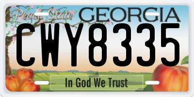 GA license plate CWY8335