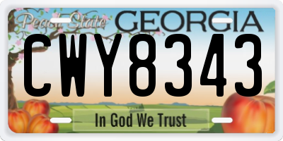 GA license plate CWY8343