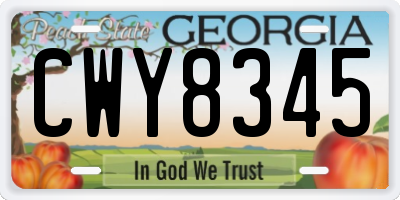 GA license plate CWY8345