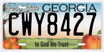 GA license plate CWY8427