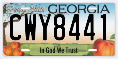 GA license plate CWY8441