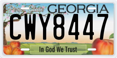 GA license plate CWY8447