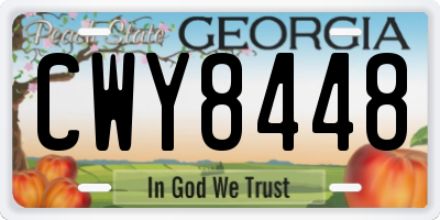 GA license plate CWY8448