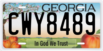 GA license plate CWY8489