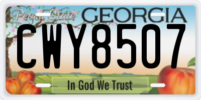 GA license plate CWY8507