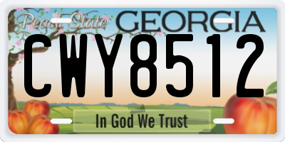 GA license plate CWY8512