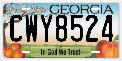 GA license plate CWY8524