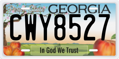 GA license plate CWY8527