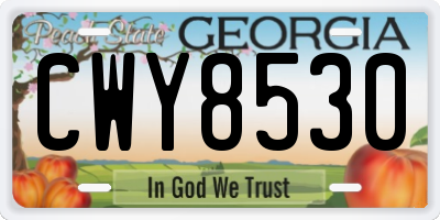 GA license plate CWY8530