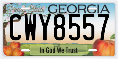 GA license plate CWY8557