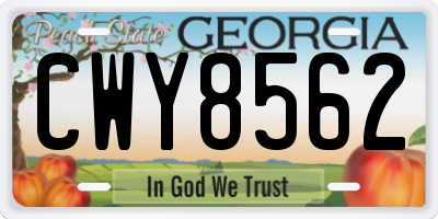 GA license plate CWY8562