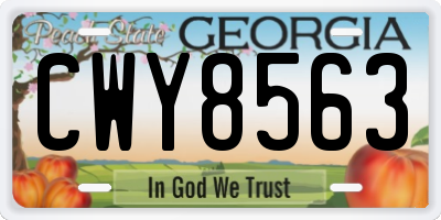GA license plate CWY8563
