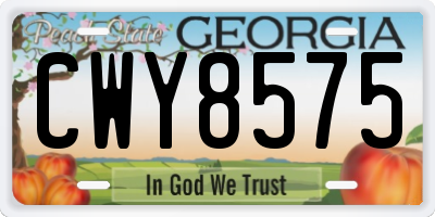 GA license plate CWY8575