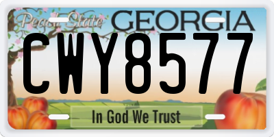 GA license plate CWY8577