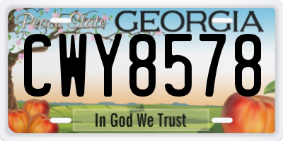 GA license plate CWY8578