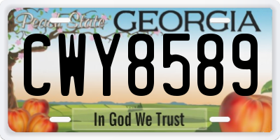 GA license plate CWY8589