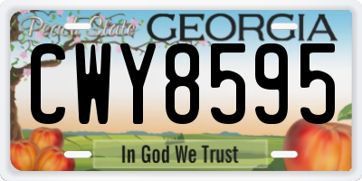 GA license plate CWY8595