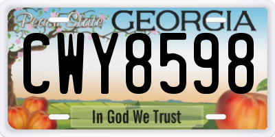 GA license plate CWY8598
