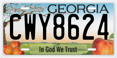 GA license plate CWY8624